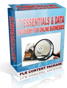 IT Essentials & Data Recovery For Online Businesses cover