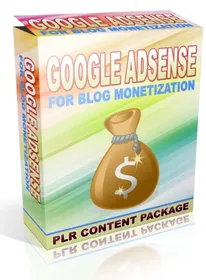 Google Adsense for Blog Monetization cover