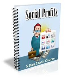 Social Profits 2013 cover