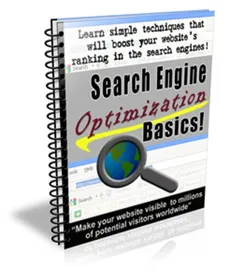Search Engine Optimization Basics cover